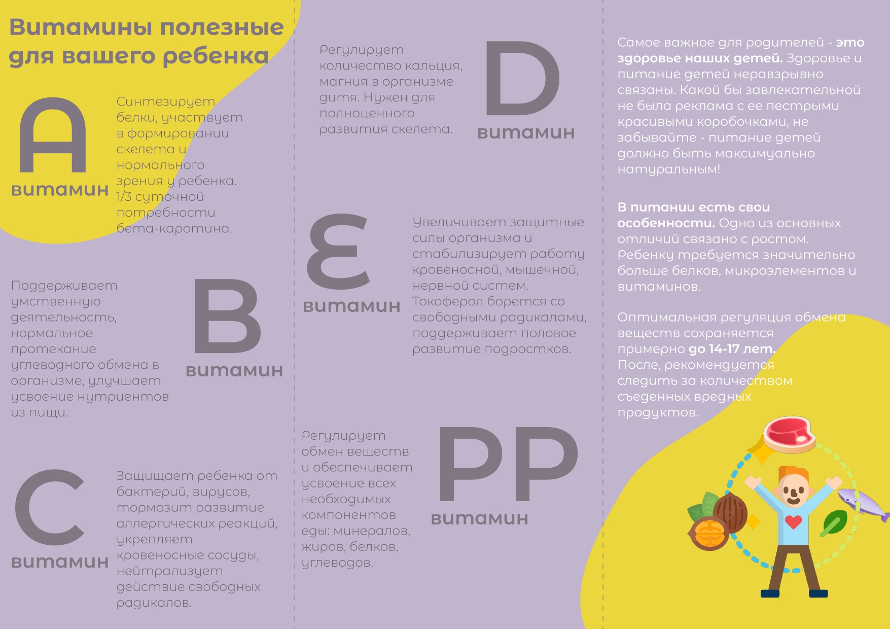 Изображения столовой.